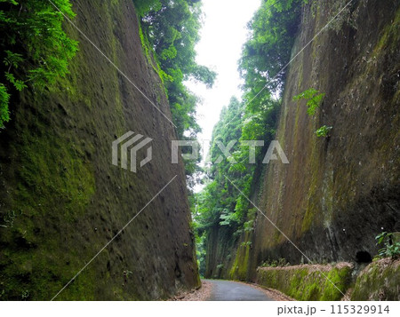 岩隈山の切通し (熊本県山鹿市) 岩隈山の切通し (熊本県山鹿市) 115329914