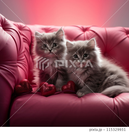 Kittens are holding a heart shaped red card 115329931
