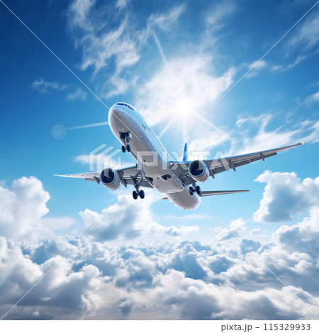 Passenger plane flying in the sky 115329933