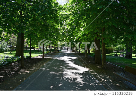 Wide shaded walkways of El Retiro Park in Madrid, Spain on clear sunny morning. Wide shaded walkways of El Retiro Park in Madrid, Spain on clear sunny morning. 115330219