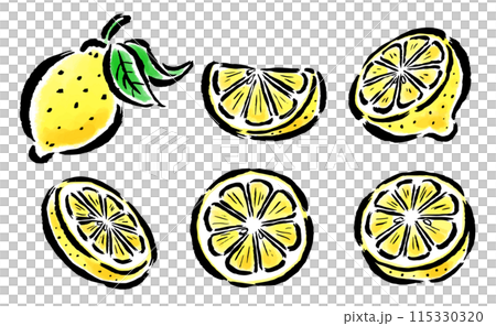 Lemon - whole, cross section, wedges, slices - brush stroke illustration set Lemon - whole, cross section, wedges, slices - brush stroke illustration set 115330320