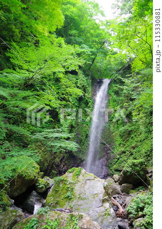 徳島県神山町 神通滝 徳島県神山町 神通滝 115330881