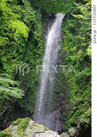 徳島県神山町　神通滝 115330885