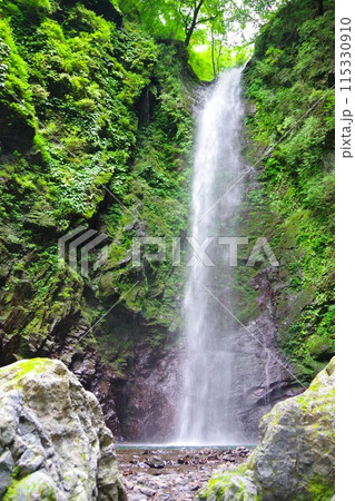 徳島県神山町　神通滝 115330910