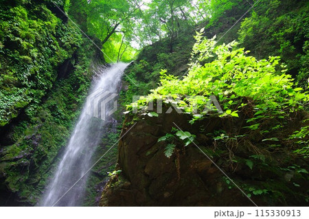 徳島県神山町　神通滝 115330913