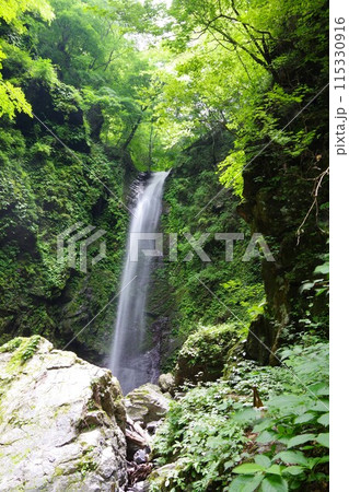 徳島県神山町　神通滝 115330916