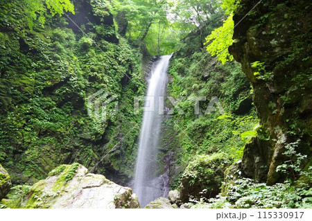 徳島県神山町　神通滝 115330917