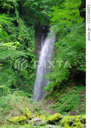 徳島県神山町 神通滝 徳島県神山町 神通滝 115330921