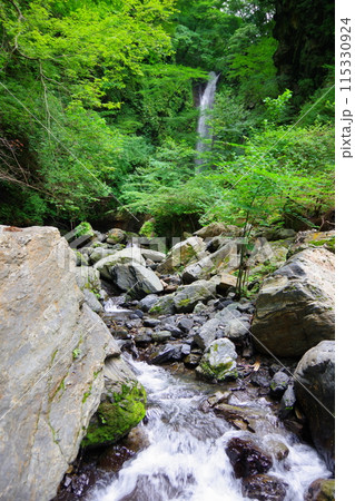 徳島県神山町 奥に見える神通滝 徳島県神山町 奥に見える神通滝 115330924