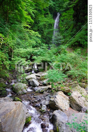 徳島県神山町 奥に見える神通滝 徳島県神山町 奥に見える神通滝 115330925