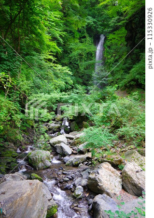 徳島県神山町 奥に見える神通滝 徳島県神山町 奥に見える神通滝 115330926