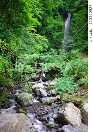 徳島県神山町 奥に見える神通滝 徳島県神山町 奥に見える神通滝 115330927