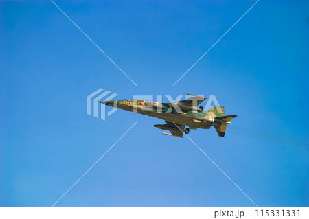 飛行展示を行う航空自衛隊の戦闘機 F-1 飛行展示を行う航空自衛隊の戦闘機 F-1 115331331