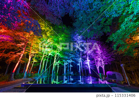 空気神社のライトアップ 115331406