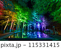 空気神社のライトアップ 115331415