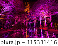 空気神社のライトアップ 115331416