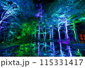 空気神社のライトアップ 115331417