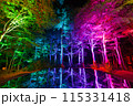 空気神社のライトアップ 115331418