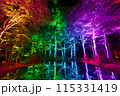空気神社のライトアップ 115331419