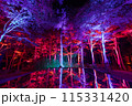 空気神社のライトアップ 115331420