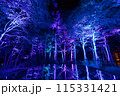 空気神社のライトアップ 115331421
