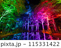 空気神社のライトアップ 115331422