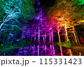 空気神社のライトアップ 115331423