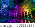 空気神社のライトアップ 115331424