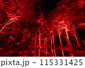 空気神社のライトアップ 115331425