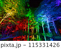 空気神社のライトアップ 115331426