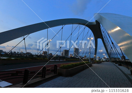 辰巳新橋(東京都江戸川区) 辰巳新橋(東京都江戸川区) 115331628