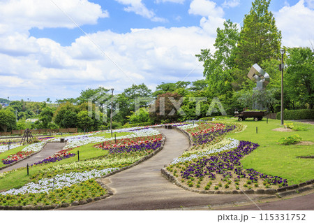 花の文化園　満開の初夏の花々 115331752