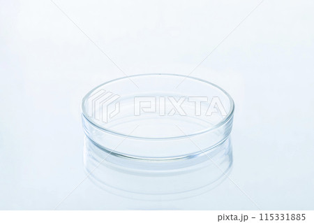 Empty petri dish on a glossy white surface, close-up, selective focus. 115331885