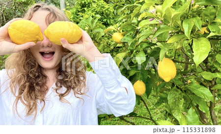 a cheerful teenage girl in a white blouse plays with lemons against the background of a lemon tree she shouts in delight and rejoices 115331898