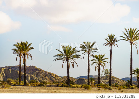 Sierra Alhamilla landscape, Spain. Sierra Alhamilla landscape, Spain. 115333289