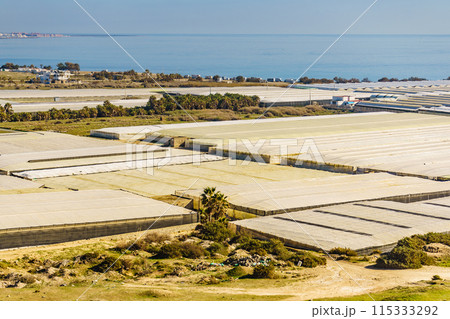 Plastic greenhouses on coast, Spain Plastic greenhouses on coast, Spain 115333292