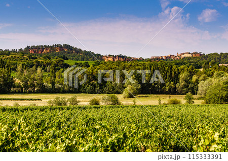 Vineyards and Roussillon on horizon, Provence France 115333391