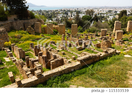 Ruins of Punic Quarter in Carthage against backdrop of modern city Ruins of Punic Quarter in Carthage against backdrop of modern city 115333539