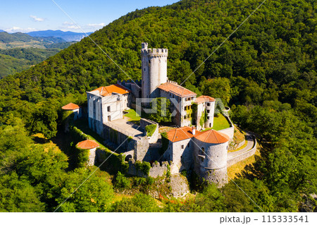 Aerial view of Branik Castle, Slovenia 115333541