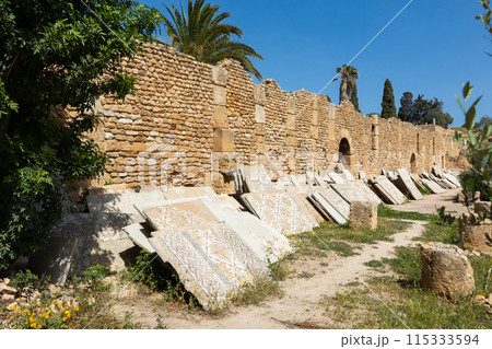 Mosaic fragments of Roman villas at Carthage archaeological site Mosaic fragments of Roman villas at Carthage archaeological site 115333594