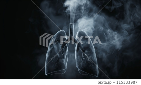 Smoked Lungs 115333987