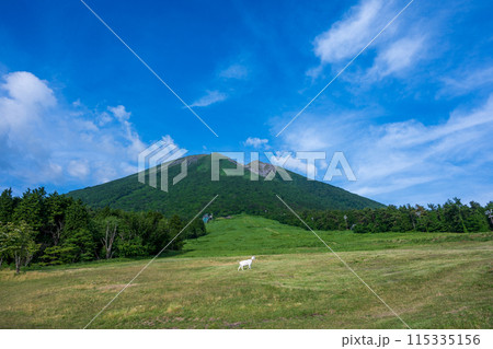 日本の鳥取県の大山の美しい風景 日本の鳥取県の大山の美しい風景 115335156