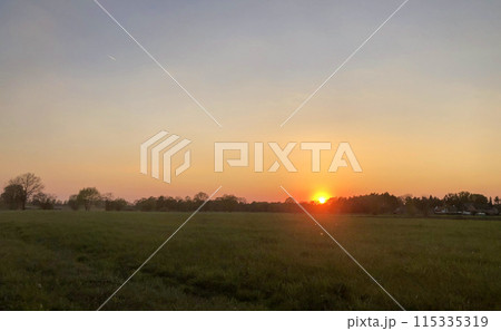 Enjoy a peaceful view of a serene sunset over a vast field with trees and an endless horizon 115335319