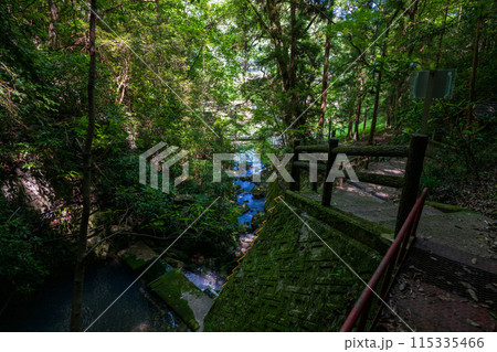 日本の岡山県真庭市の諏訪洞の美しい風景 115335466