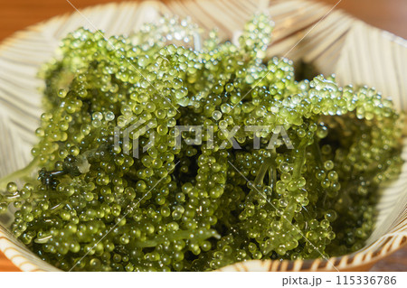 プチプチ食感の海ブドウ	 115336786