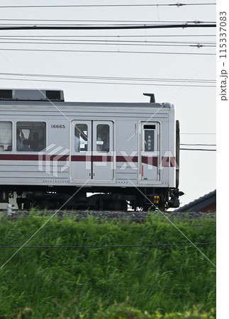 夏の築堤を走る東武伊勢崎線通勤電車 115337083
