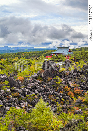 見晴台からの絶景【東叡山寛永寺別院浅間山観音堂】 115337706