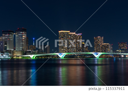東京夜景　豊洲ぐるり公園からの風景 115337911