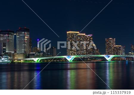 東京夜景　豊洲ぐるり公園からの風景 115337919