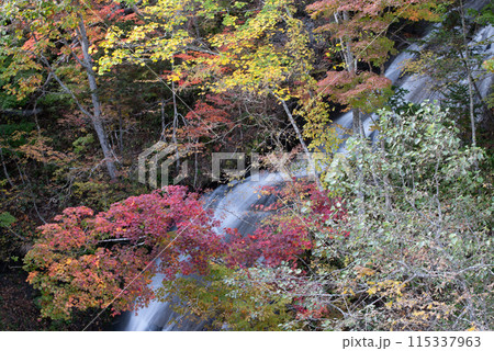 恵庭渓谷の紅葉 115337963